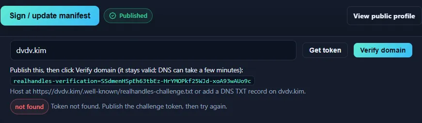 The domain verification step, showing the challenge token to publish